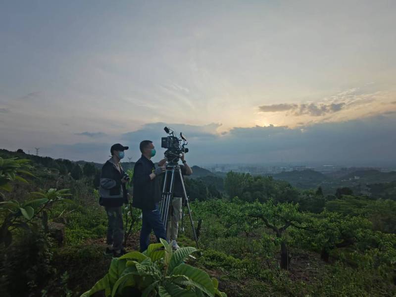 创意破圈！江州区电商产品宣传视频用故事化叙事引爆流量