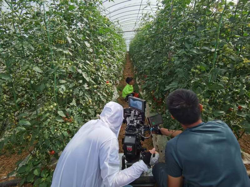 江州区产品宣传视频拍摄公司进阶指南，助力品牌抢占传播高地